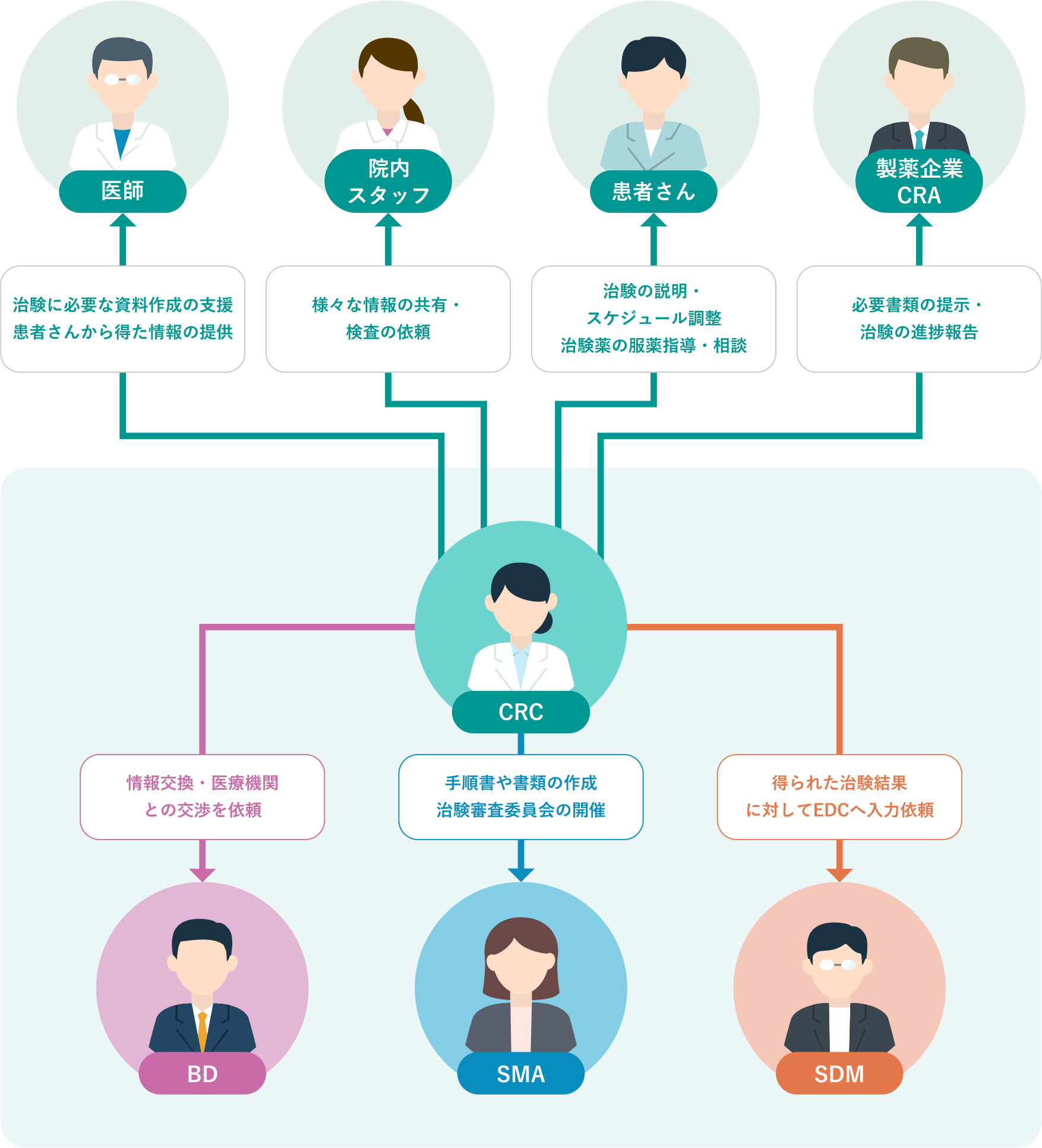 CRCを中心とした職種相関図