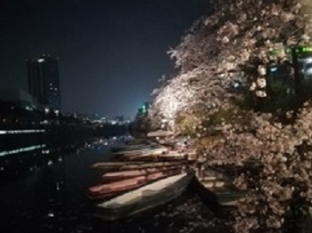 念願の花見