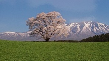 春を待ち遠しい