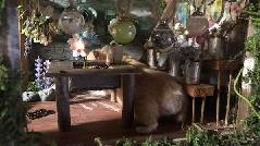 すっかり秋になりましたね