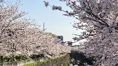 日々感謝