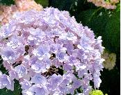 3年目の夏
