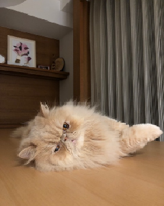 ママになって気づいた働きやすさ