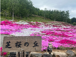 二年目になりました